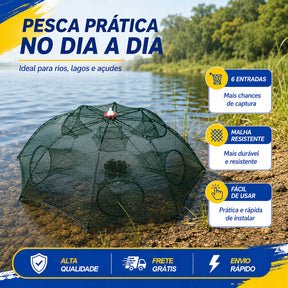 Armadilha com 8 Bocas para Isca Viva (Lambari/Peixes Pequenos)